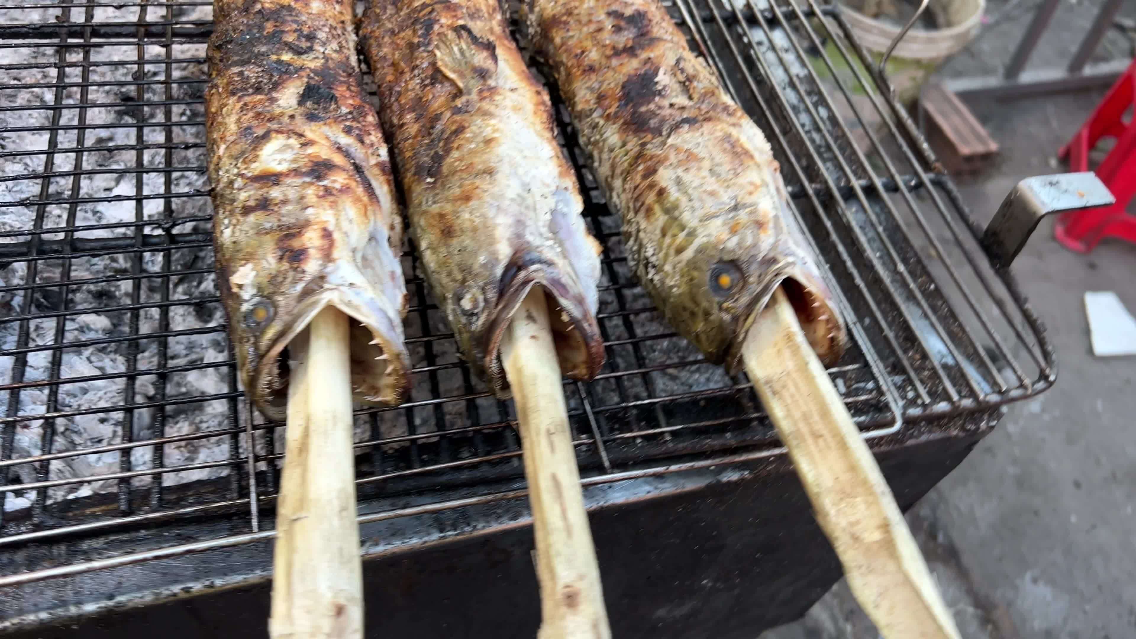 Grilled fish street food Juicy grilled mackerel fish inside grill grid