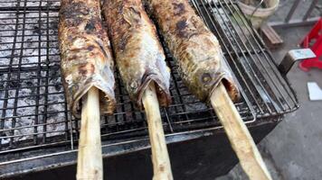 A la parrilla pescado calle comida jugoso A la parrilla caballa pescado dentro parrilla cuadrícula en carbón brasero con creciente fumar. pescado preparación utilizando al aire libre parilla parrilla video