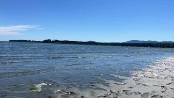 a costa do a pacífico oceano em Vancouver ilha, isto pode estar visto este lá estava uma baixo maré e agora a calma do a onda é por muito pouco espirrando em a amuleto calma silêncio Rathtrevor praia, Parquesville video