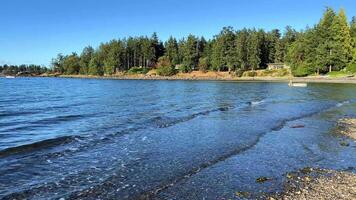 Wall beach, Nanoose Pacific Ocean beach on Vancouver Island a very beautiful combination of nature on the right side coniferous trees on the left side the ocean looks like a lake or the sea video