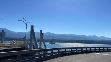 dentro Canadá em Vancouver ilha uma denso teia de aranha dentro a floresta muitos camadas do uma variedade do teias de aranha brilha dentro a Sol lá é não caminho todos cheio a aranha tentou para Construir Está casa video