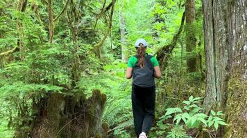 meisje tiener in een groen t-shirt in een oud verlaten Woud van een fee verhaal reusachtig bomen gedekt met mos rugzak en reiziger pet macmillan provinciaal park zeven vraagt zich af Canada film over de Verleden video