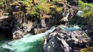 tradicional território do a kwalikum primeiro nação pequeno qualicum cai provincial parque limpar \ limpo Claro e frio água cascata e floresta rio a Câmera movimentos lentamente Canadá Vancouver ilha video