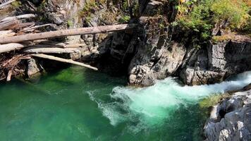 tradicional território do a kwalikum primeiro nação pequeno qualicum cai provincial parque limpar \ limpo Claro e frio água cascata e floresta rio a Câmera movimentos lentamente Canadá Vancouver ilha video