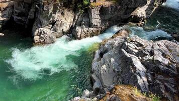 tradicional território do a kwalikum primeiro nação pequeno qualicum cai provincial parque limpar \ limpo Claro e frio água cascata e floresta rio a Câmera movimentos lentamente Canadá Vancouver ilha video