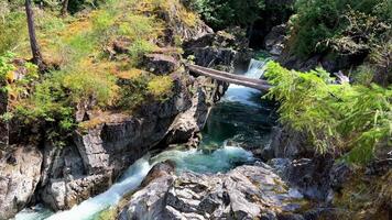 tradicional território do a kwalikum primeiro nação pequeno qualicum cai provincial parque limpar \ limpo Claro e frio água cascata e floresta rio a Câmera movimentos lentamente Canadá Vancouver ilha video