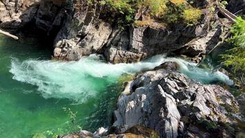 tradicional território do a kwalikum primeiro nação pequeno qualicum cai provincial parque limpar \ limpo Claro e frio água cascata e floresta rio a Câmera movimentos lentamente Canadá Vancouver ilha video