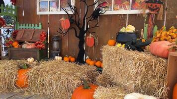 calabazas en cestas son naranja y brillante bueno cosecha otoño festival muchos calabaza hojas como bien como varios vegetales Paja en cuales árbol decoraciones son metido todo para Víspera de Todos los Santos video