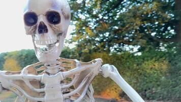 Background for text on Halloween autumn holiday A human skeleton sits on a tree, and next to it is a skeleton of a bird, a vulture, the camera slowly floats by, shooting a for Halloween video