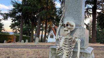 The magical beginning has a place for text A human skeleton sits leaning on a tombstone a bird skeleton sits on top of it Halloween in the heat of a great to advertise a Halloween party video