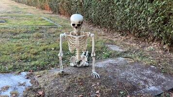 The skeleton sits on the grave and looks at the outstretched hand from the ground next to it sits the skeleton of the vulture bird this is good for Halloween Meeting of skeletons in the cemetery video