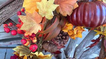 een wiel dat heeft bladeren geel oranje rood ook Drempels ook een groot bruin kalebas herfst bladeren met viburnum perfect achtergrond voor ieder tekst voor halloween oogst en herfst alleen maar een dag video