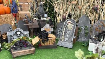 tombstone halloween slabs Skeletons head and bones Reeds on artificial green grass in the background It's written on the stone RIP There are also broken boards, spiders, baskets and crosses. video