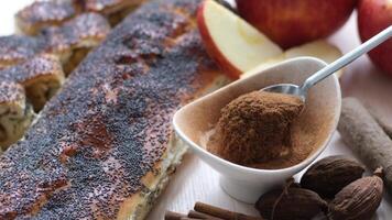 tarta con amapola semillas y canela y manzanas cuchara creciente canela dentro aire lento lento movimiento canela polvo torrencial nueces nuez moscada manzana rojo antecedentes espacio para texto hecho en casa comida Cocinando pasteles video