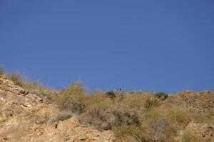 mountain views in the almanzora valley photo