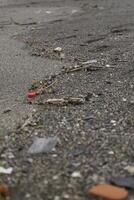 beach after storm, danger to marine life, plastic waste, plastic junk, plastic, marine life in danger, polluting people photo