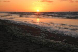 vistoso puesta de sol a vlieland un holandés isla foto