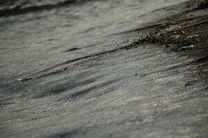 amazing, never seen it before, ice on the salt water and sand, beach, north sea,winter in the netherlands photo