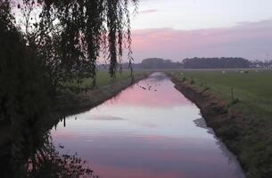 nublado amanecer en el Países Bajos foto