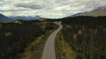 Aerial view of the Icedield Park way in autumn. video