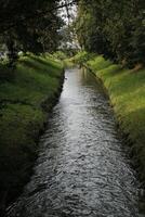 canal in forest photo