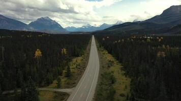 Aerial view of the Icedield Park way in autumn. video