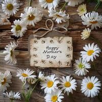 Heartwarming handwritten greeting card surrounded with vibrant white daisies. photo