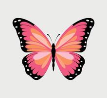 ilustración de mariposa colorida vector