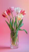 Mother's day colorful background concept with tulip flower in a glass vase. photo