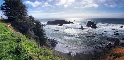 Highway 1, Fort Bragg, CA photo