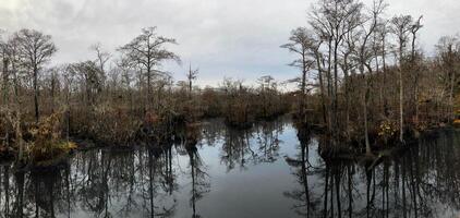 negro río, norte carolina foto