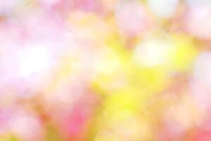 abstract background bokeh from pink and yellow flower bush. Concept bokeh and background bokeh from nature, soft and selective focus. photo