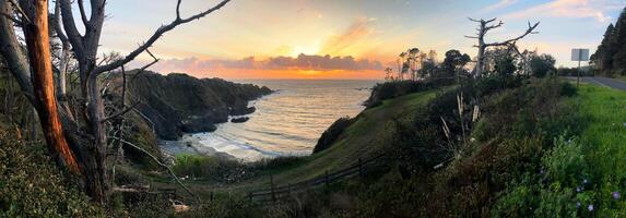 Highway 1, The Sea Ranch, CA photo