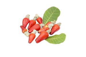 isolated pile of ripe cashew nuts on white background. The fruit looks like rose apple or pear. The young fruit is green. When ripe, it turns red-orange. At the end of the fruit there is a seed. photo