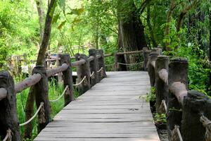 curva de madera puente profundo en el bosque foto