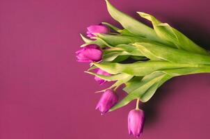 Fresh flower composition, bouquet of bi color tulips photo