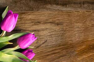 ramo de flores de hermosa tulipanes en de madera antecedentes. tulipanes en antiguo tableros foto