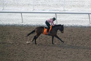 Race horse with jockeys on the home straight. Shaving effect. photo