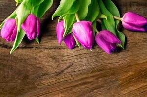 Bouquet of beautiful tulips on wooden background. Tulips on old boards photo