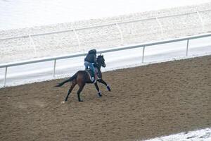 Race horse with jockeys on the home straight. Shaving effect. photo