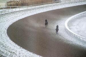 carrera caballo con jinetes en el hogar derecho. afeitado efecto. foto