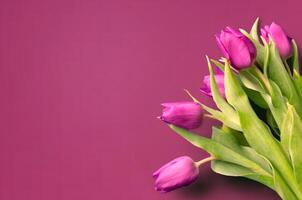 Fresh flower composition, bouquet of bi color tulips photo