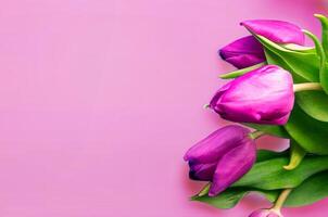 Fresh flower composition, bouquet of bi color tulips photo