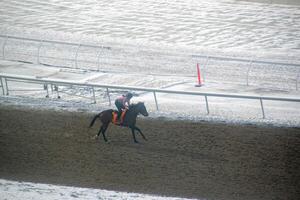 Race horse with jockeys on the home straight. Shaving effect. photo