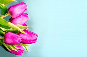 Fresh flower composition, bouquet of bi color tulips photo