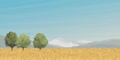 Trees in wheat field with mountain ranges and blue sky background graphic illustrated have blank space. Countryside concept with gold colors barley field. vector