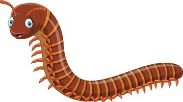 Cartoon centipede isolated on white background vector