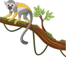 Cute capuchin monkey on a tree branch vector