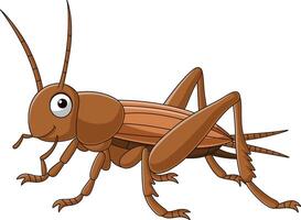 Cartoon grasshopper on white background vector