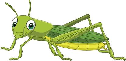 Cartoon grasshopper on white background vector